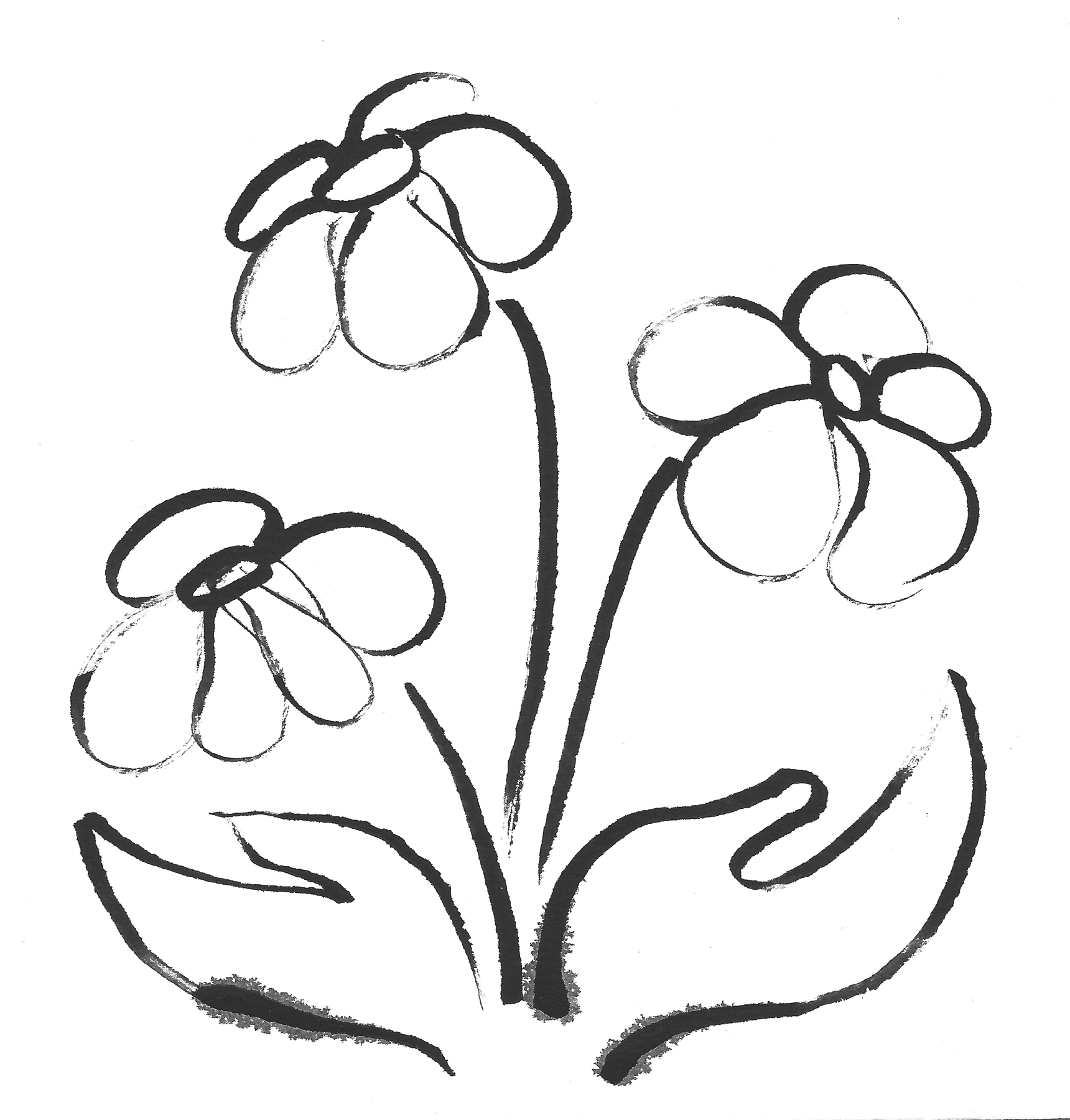 Hands holding a group of flowers